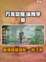 万龙觉醒🔥埃姆李斯超强技能攻略来啦！