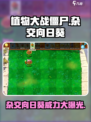 植物大战僵尸杂交版向日葵怎么样介绍