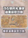 沙石镇时光💎爆浆油果获取攻略，快速入手秘籍！