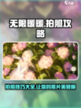 无限暖暖怎么拍照介绍