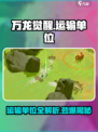 万龙觉醒运输单位是什么介绍