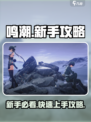 鸣潮🔥新手必看！快速上手攻略💡