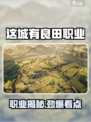 🎮这城有良田职业全解析！隐藏神将曝光💥