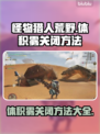 怪物猎人：荒野体积雾关闭方法🔥超简单！