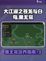 大江湖之苍龙与白鸟黑无常介绍介绍