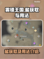 雾锁王国🔥盐获取全攻略✨玩转游戏必备！