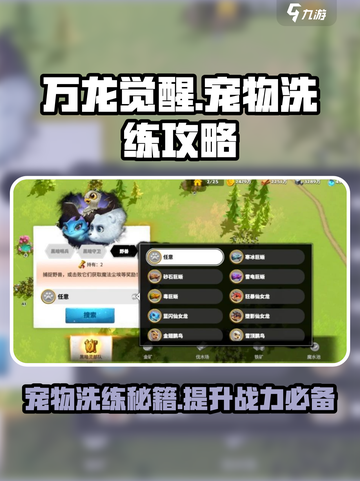 万龙觉醒宠物洗练攻略介绍截图1