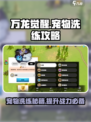万龙觉醒宠物洗练攻略介绍