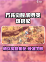 万龙觉醒🔥最强骑兵英雄搭配攻略来啦！