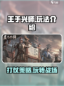 王于兴师玩法介绍介绍