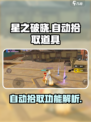 星之破晓武器是自动拾取吗介绍