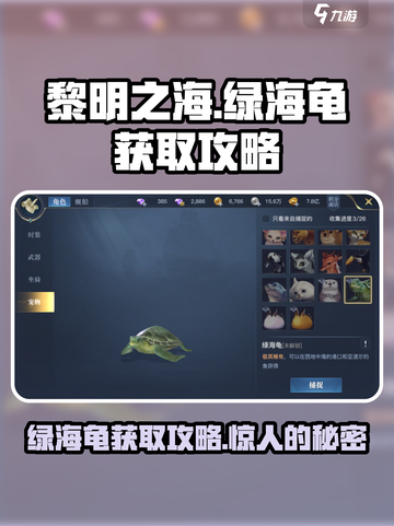 黎明之海💚绿海龟获取攻略，快速捕捉地点大曝光！截图1