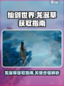 仙剑世界龙涎草怎么获取介绍