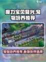 魔力宝贝复兴版🔥必培养宠物推荐🎉