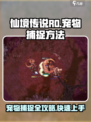 仙境传说RO新启航宠物怎么捕捉介绍