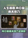 人生画廊向日葵怎么过介绍