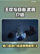 王权与自由🔥热门武器大揭秘，玩家必看！