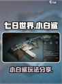 七日世界小白鲨怎么样介绍