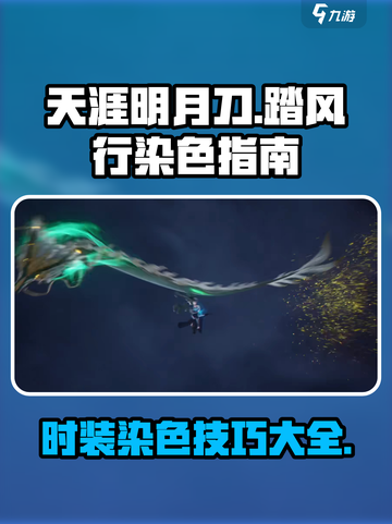 踏风行时装染色怎么弄介绍截图1
