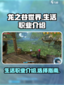 龙之谷世界生活职业有哪些介绍