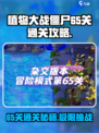 植物大战僵尸杂交版65关🔥通关秘籍💡