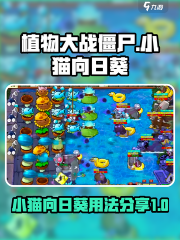 植物大战僵尸：小猫向日葵⚡超强用法曝光！截图1
