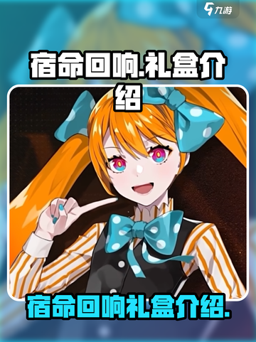 宿命回响礼盒是什么介绍截图1