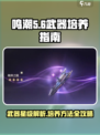 鸣潮🔥袍泽之固几星武器？培养方法全揭秘！