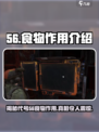 代号56食物大揭秘🔥吃对了比游戏《代号56》还提神！