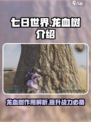 七日世界龙血树介绍介绍