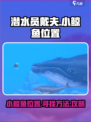 潜水员戴夫小鲸鱼在哪介绍