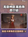 龙息神寂核心卡有哪些介绍