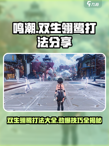 鸣潮⚡双生翎鹭打法分享，轻松通关秘籍！🔥截图1