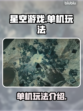 星空游戏📖单机or联机？玩法大揭秘🔥