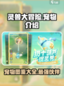 灵兽大冒险宠物有哪些介绍