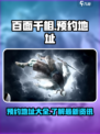 百面千相在哪里预约介绍