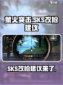 萤火突击SKS改枪怎么改介绍