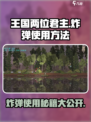 王国两位君主🔥炸弹使用方法大公开！💥