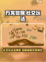 万龙觉醒社交怎么玩介绍