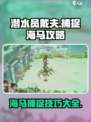 潜水员戴夫🔥海马捕捉超简单攻略来啦！