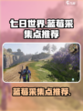 七日世界蓝莓采集点哪里好介绍