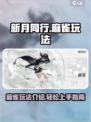 新月同行麻雀玩法介绍介绍