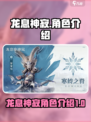 龙息神寂图鉴分享介绍