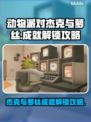 动物派对🔥杰克与萝丝成就解锁全攻略🎉
