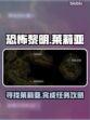 恐怖黎明😎：莱莉亚任务全攻略！📍