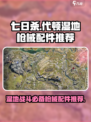 《七日世界》代顿湿地🔥枪械配件推荐来啦！