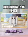 我和我的猫什么时候上线介绍