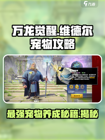 万龙觉醒🔥维德尔宠物超强攻略来啦！截图1
