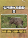 失控进化动物有哪些介绍
