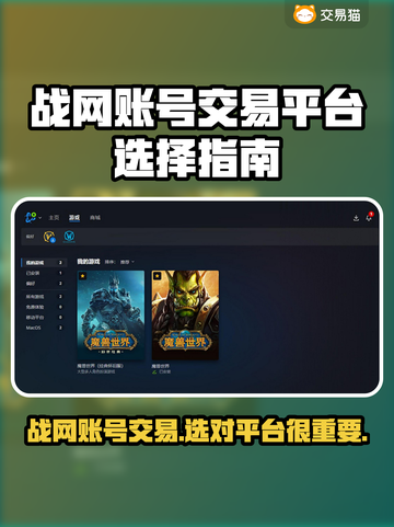 战网账号交易平台推荐🔥暴雪游戏爱好者必看！🎮截图1